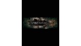 Visceral by Derek Roberts