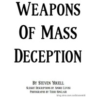 Weapons Of Mass Deception by Steven Youell