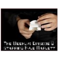 The Weekly Episode 9 Starring Kyle Marlett The Weekly Episode 9 Starring Kyle Marlett