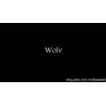 Wolv by Hugo Luccioni Wolv by Hugo Luccioni