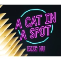 A Cat In A Spot by Eric Hu