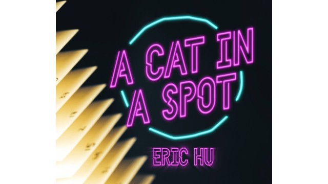 A Cat In A Spot by Eric Hu