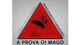A Prova Di Mago by Diego Allegri
