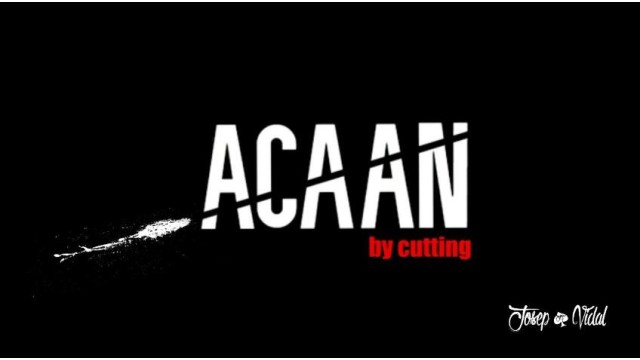 Acaan By Cutting by Josep Vidal