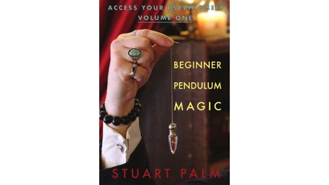 Access Your Psychic Self - Volume One - Beginner P by Stuart Palm