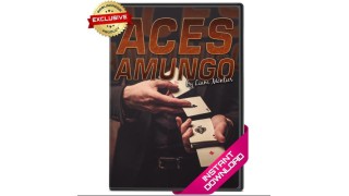 Aces Amungo by Liam Montier