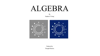 Algebra by Stephen Eric Young