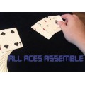 All Aces Assemble by Steve Reynolds All Aces Assemble by Steve Reynolds