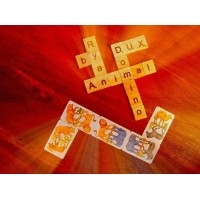 Animal Domino by Ryan Dux
