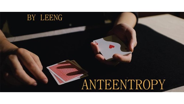 Anteentropy by Leeng