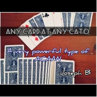 Any Card At Any Cato by Joseph B