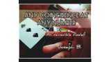 Any Coincidence At Any Number by Joseph B