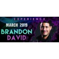 At The Table Live Lecture Brandon David At The Table Live Lecture Brandon David