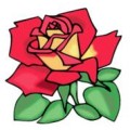 Auto Silk To Rose 3.0 by Jeimin Auto Silk To Rose 3.0 by Jeimin