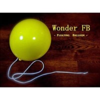 Balloon by Wonder Floating