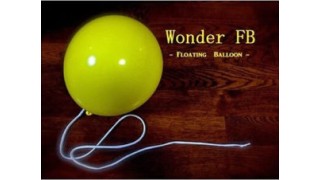 Balloon by Wonder Floating