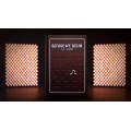 Before We Begin by Asi Wind Before We Begin by Asi Wind