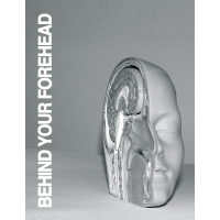 Behind Your Forehead by Jared Kopf