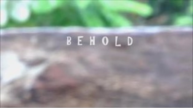 Behold by Arnel Renegado