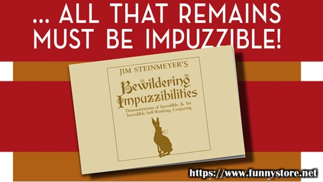 Bewildering Impuzzibilities by Jim Steinmeyer