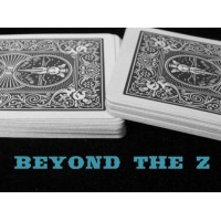Beyond The Z by Steve Reynolds
