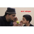 Bird Whisper by Sachin & Sidhvik Bird Whisper by Sachin & Sidhvik