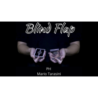 Blind Flap Project by Ph And Mario Tarasini