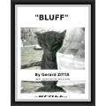 Bluff by Gerard Zitta Bluff by Gerard Zitta