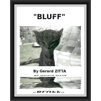 Bluff by Gerard Zitta