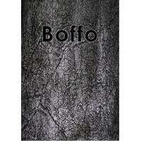Boffo: Or The Creation And Utilization Of Image And Reputation by Christopher Strange