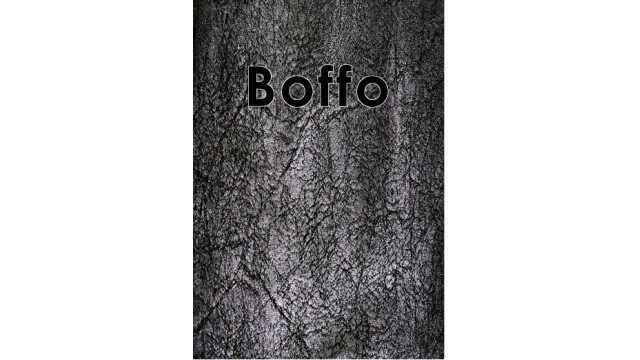 Boffo: Or The Creation And Utilization Of Image And Reputation by Christopher Strange