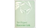 Boromian Link by Terri Rogers