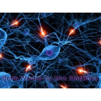 Brain Washer by Alvo Stockman