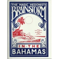 Brainstorm In The Bahamas by Adam Fleischer