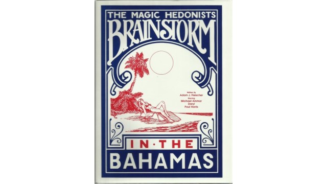 Brainstorm In The Bahamas by Adam Fleischer