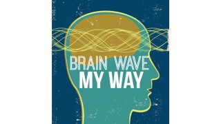 Brainwave My Way by Michael Vincent