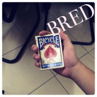 Bred by Quang Cd