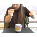 Brendan Rodrigues Learn Tips On Coin Magic With Danny Goldsmith by Danny Goldsmith Brendan Rodrigues Learn Tips On Coin Magic With Danny Goldsmith by Danny Goldsmith