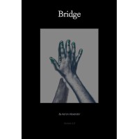 Bridge 1.0 by Aaron Alexander