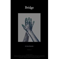 Bridge 1.1 by Aaron Alexander