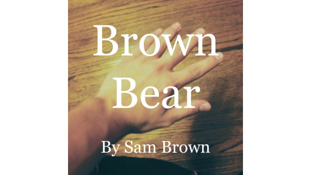 Brown Bear by Sam Brown