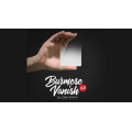 Burmese Vanish 2.0 by Zaw Shinn Burmese Vanish 2.0 by Zaw Shinn