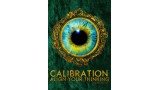 Calibration by Seamus Maguire