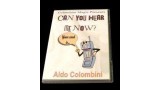 Can You Hear Me Now by Aldo Colombini