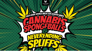 Cannabis Sponge Balls And Never Ending Spliffs (Video) by Adam Wilber