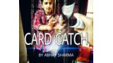 Card Catch by Abhay Sharma