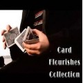 Card Flourishes Collection 1 (1) Card Flourishes Collection 1 (1)