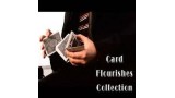 Card Flourishes Collection 1 (1)