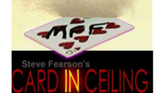 Card In Ceiling by Steve Fearson