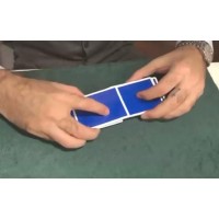 Card Magic Course Zoom Live (Week 1) by Alex Pandrea